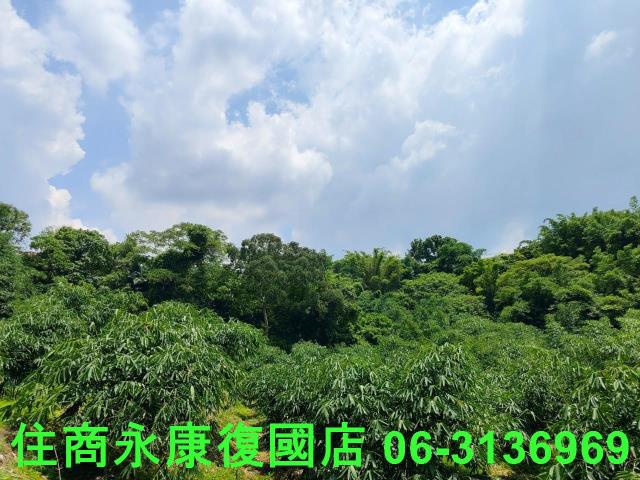 台南左鎮農地-12