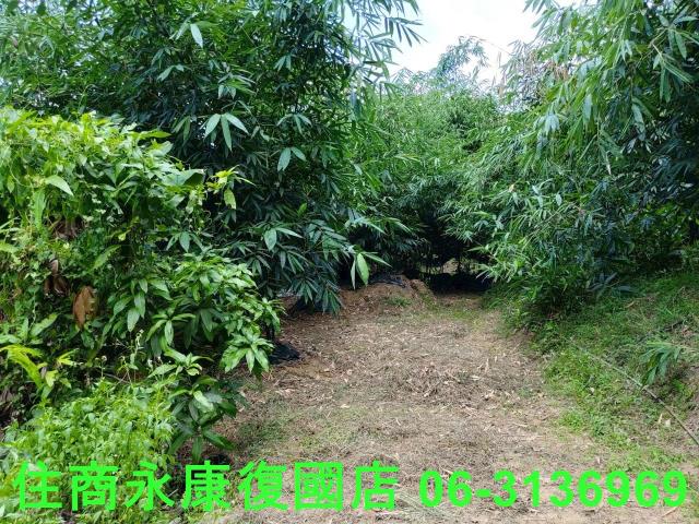 台南左鎮農地-5