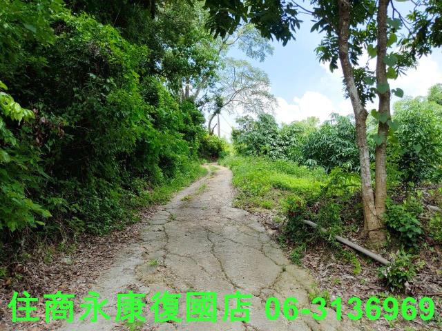 台南左鎮農地-6