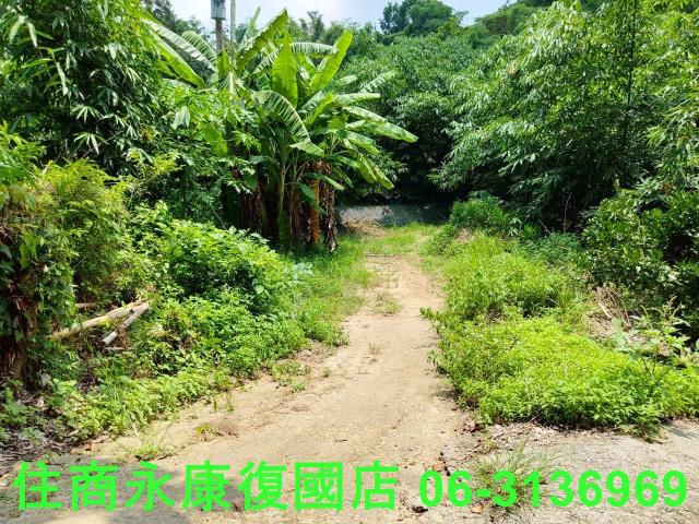 台南左鎮農地-7