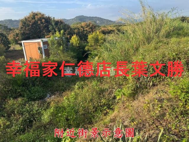 台南玉井農地-14