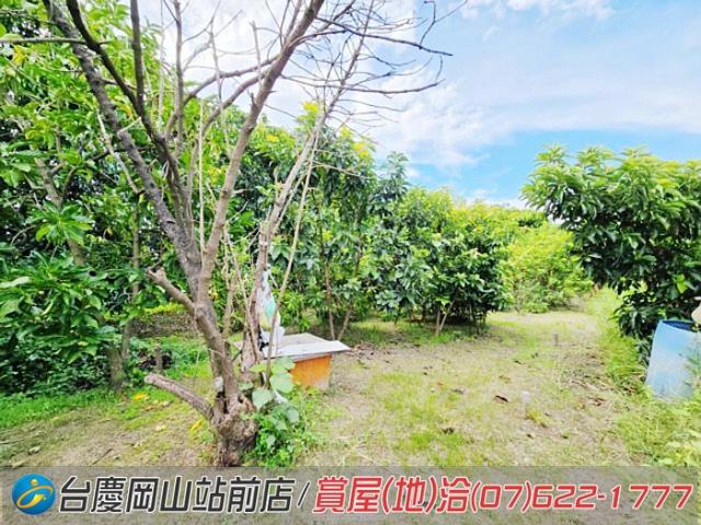 高雄岡山農地-11