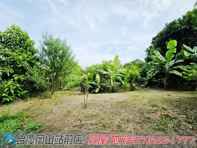 高雄岡山農地-1