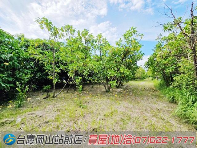 高雄岡山農地-2