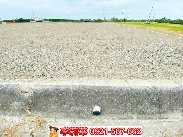 台南麻豆農地-6