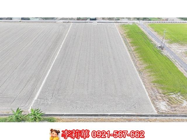 台南麻豆農地-8