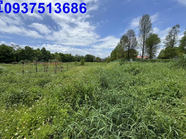 宜蘭縣五結鄉國民一段農地出售