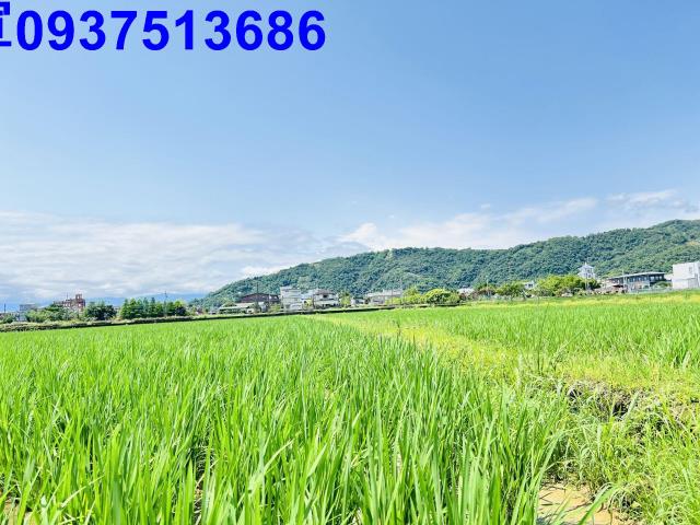 員山農地-3