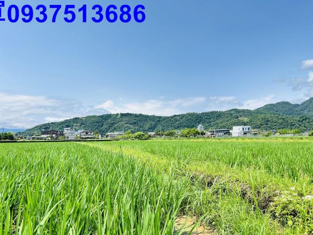 員山農地-4