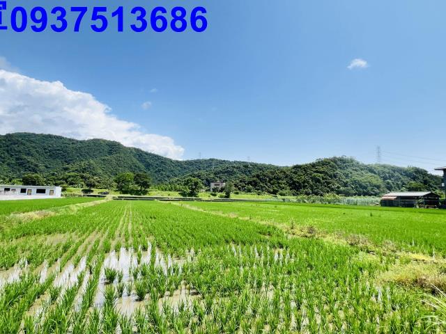 員山農地-0