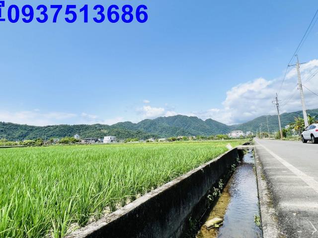 員山農地-5