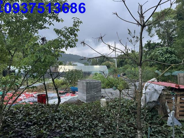 員山農地-2