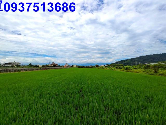 員山農地-3