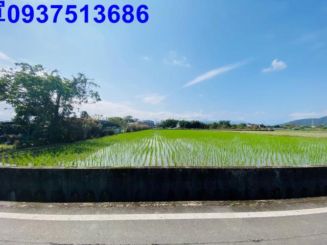 員山農地-10