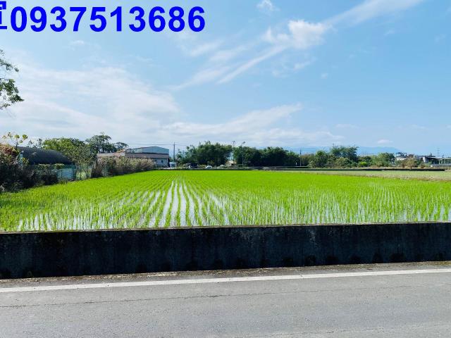 員山農地-11