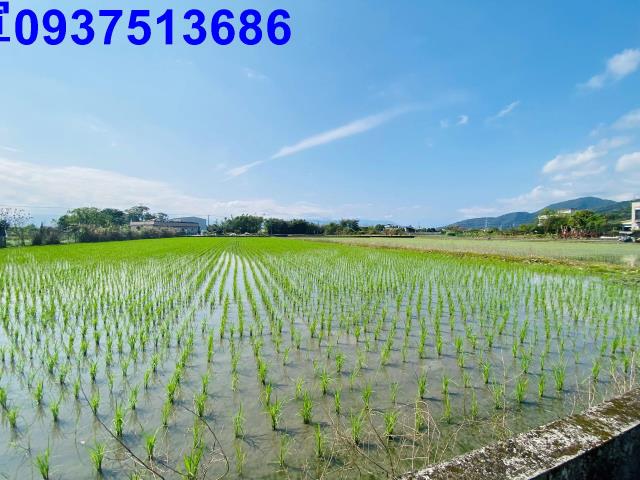 員山農地-1