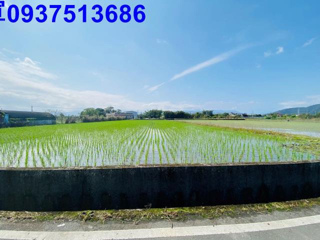 員山農地-2
