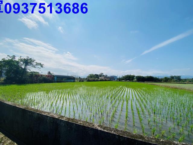 員山農地-4