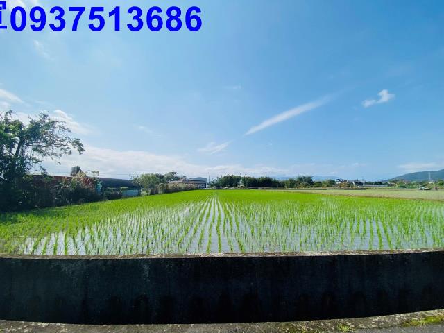 員山農地-5