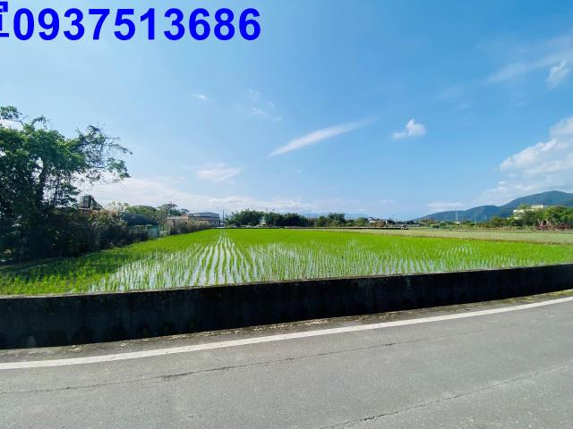 員山農地-8