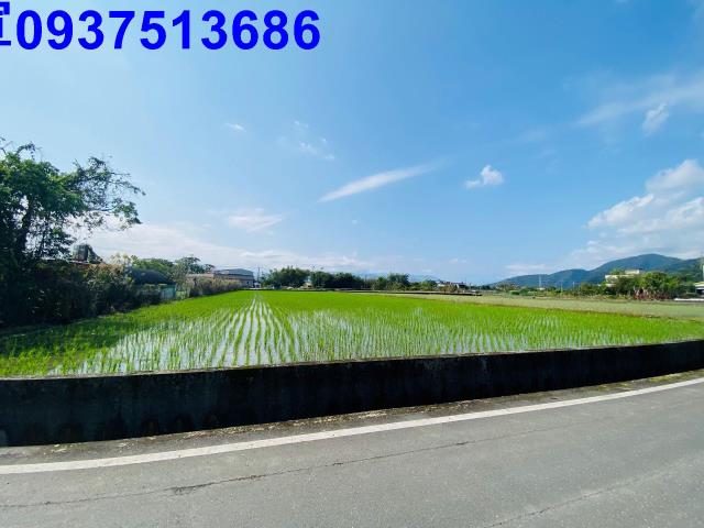 員山農地-9