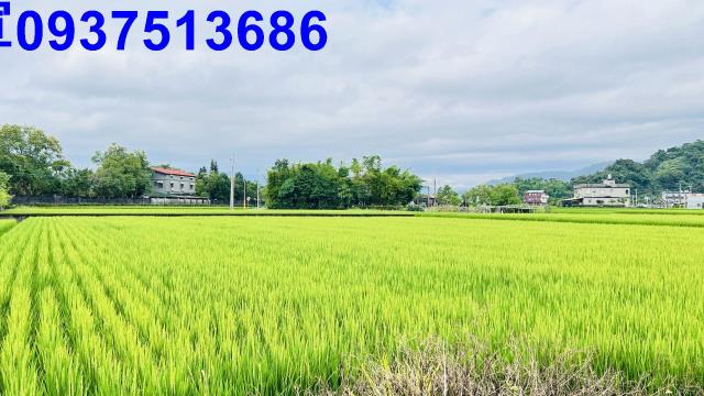 員山農地-3