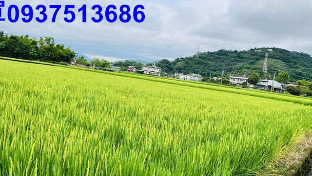 員山農地-4