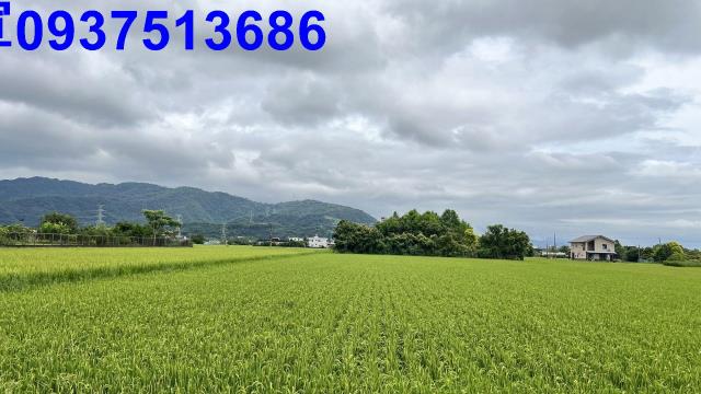 員山農地-7