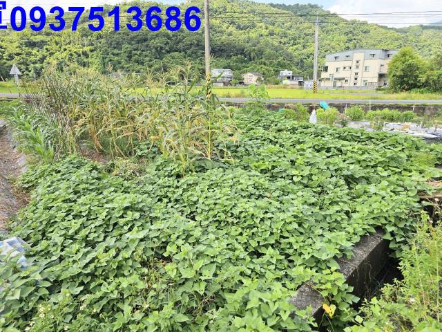 宜蘭縣員山鄉深洲段農地出售