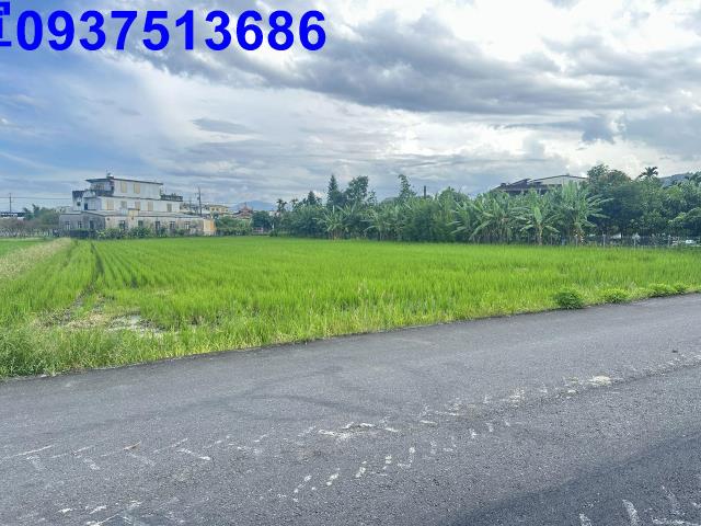 宜蘭農地-3