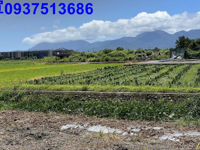 宜蘭縣三星鄉大隱段農地出售