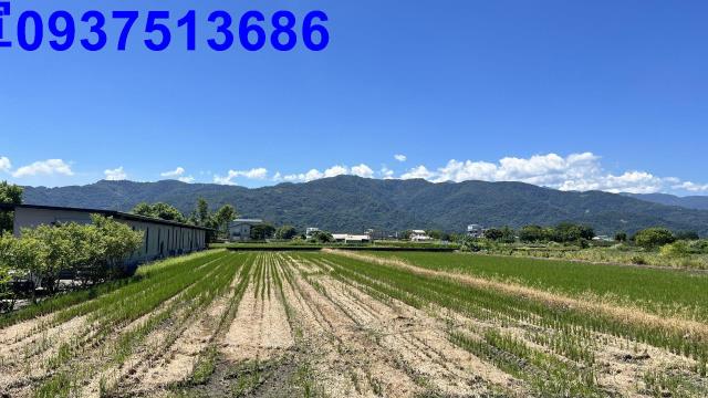 宜蘭農地-12