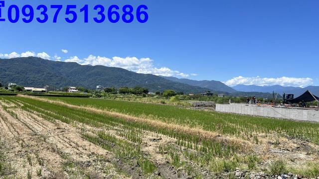 宜蘭農地-1