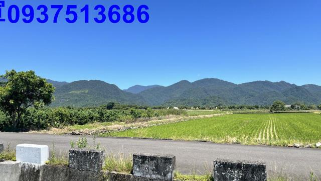 宜蘭農地-7