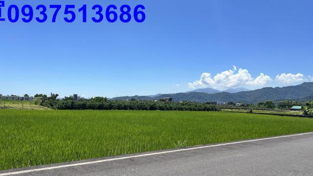 宜蘭農地-8