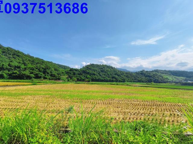 宜蘭縣宜蘭市凱旋一段農地出售