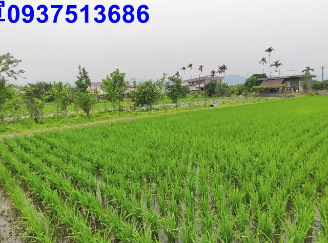 宜蘭三星農地-4