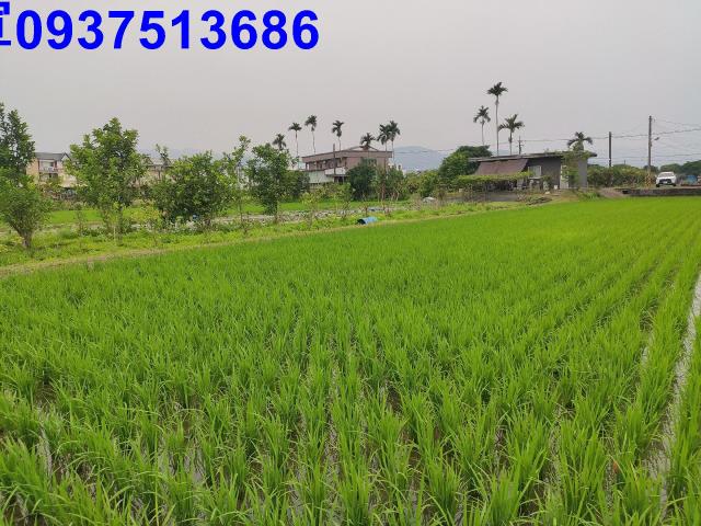 宜蘭三星農地-5