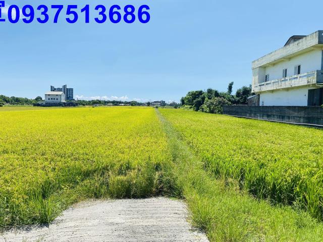 宜蘭五結農地-1