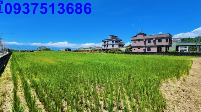 宜蘭礁溪農地-3