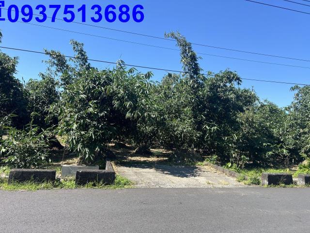 宜蘭員山農地-5