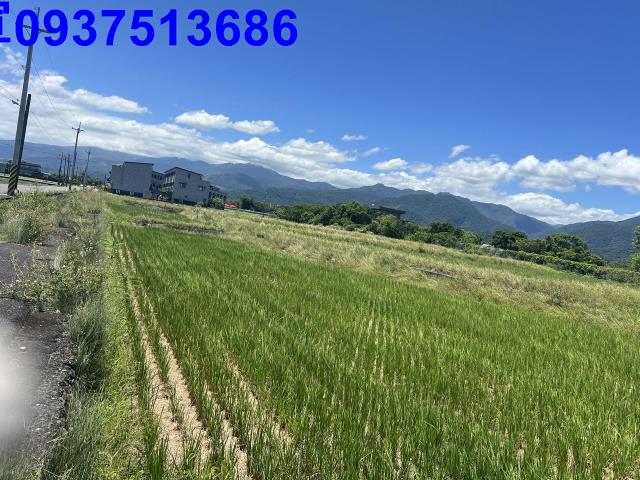 宜蘭三星農地-10