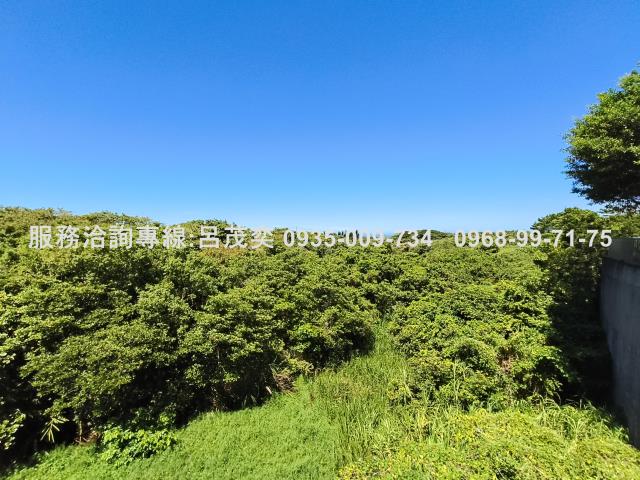 新北石門農地-9