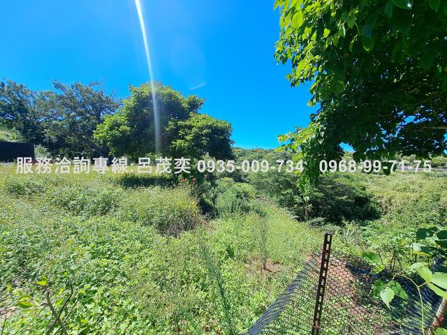 新北石門農地-4