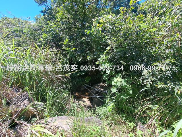 新北石門農地-8