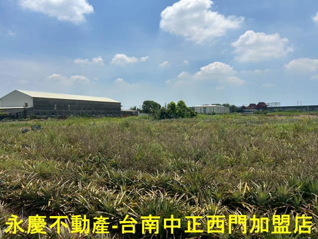台南新化農地-5