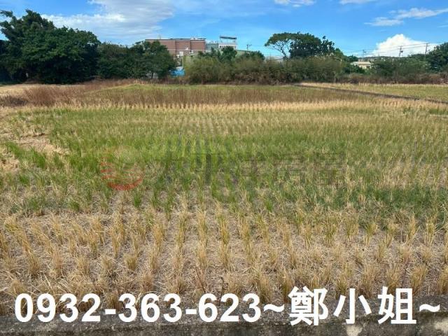 桃園蘆竹農地-5