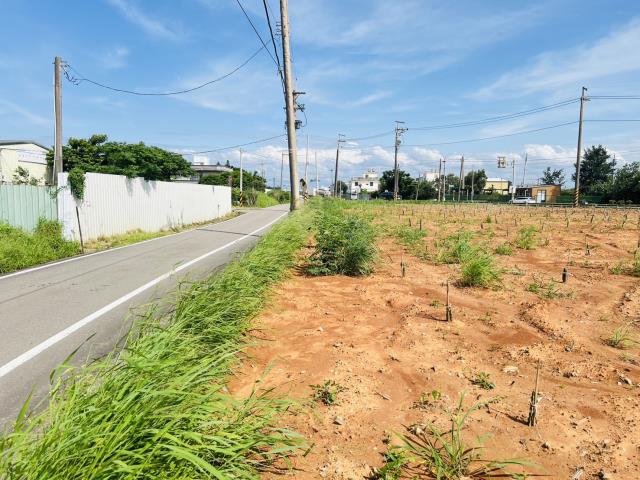 蘆竹市區漂亮美農地