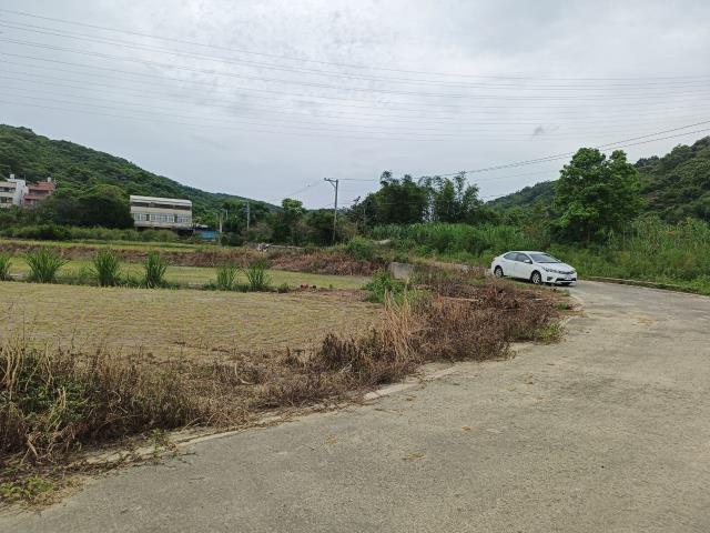 觀音66旁大地坪農建地投資自用可