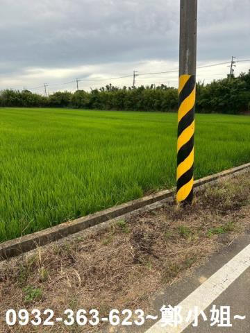 楊梅農地-10